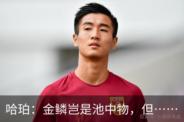 哈珀：金鳞岂是池中物，但……